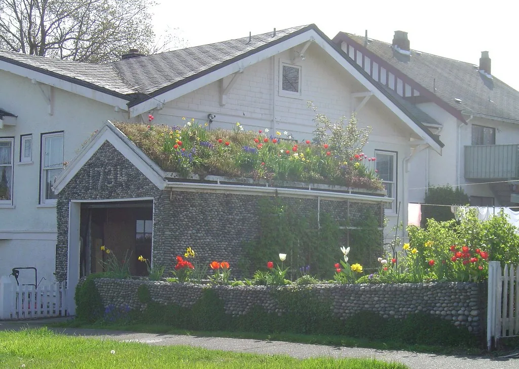 Groendak realisatie